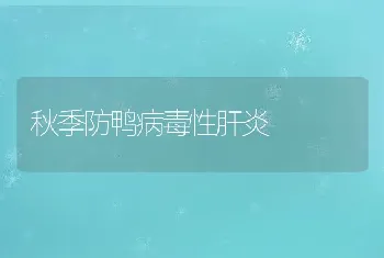 秋季防鸭病毒性肝炎