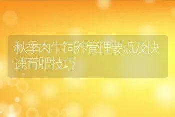 秋季肉牛饲养管理要点及快速育肥技巧