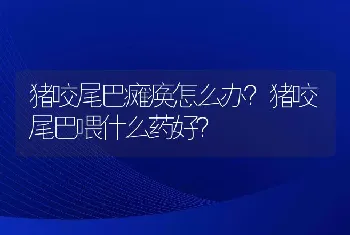 猪咬尾巴瘫痪怎么办？猪咬尾巴喂什么药好？