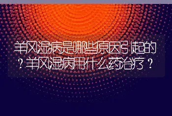 羊风湿病是哪些原因引起的？羊风湿病用什么药治疗？