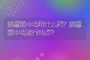 鹅霉菌中毒用什么药？鹅霉菌中毒流行特点？