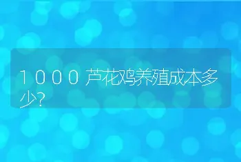 1000芦花鸡养殖成本多少？