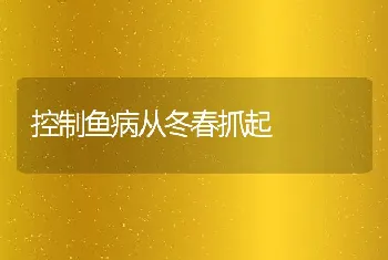 控制鱼病从冬春抓起