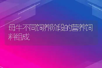 母牛不同饲养阶段的营养饲料组成