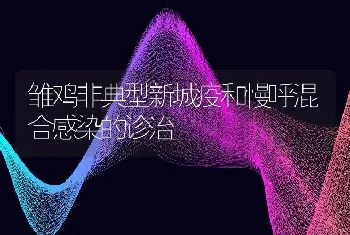 雏鸡非典型新城疫和慢呼混合感染的诊治