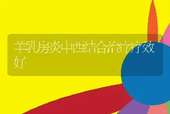 仔猪白痢症状及治疗方法、用什么药