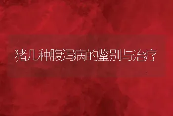 无公害南美白对虾健康养殖的几点思考