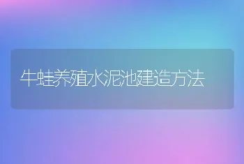 牛蛙养殖水泥池建造方法