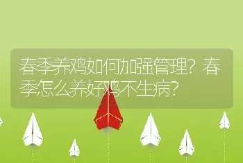 春季养鸡如何加强管理？春季怎么养好鸡不生病？