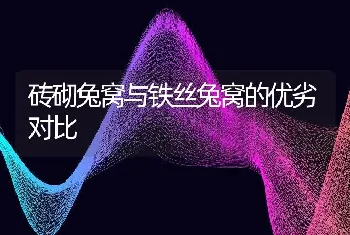 砖砌兔窝与铁丝兔窝的优劣对比