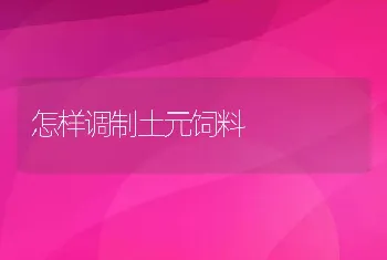 怎样调制土元饲料