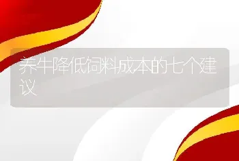 养牛降低饲料成本的七个建议