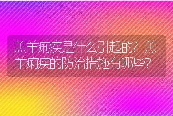 羔羊痢疾是什么引起的?羔羊痢疾的防治措施有哪些？