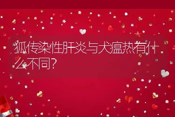 狐传染性肝炎与犬瘟热有什么不同？