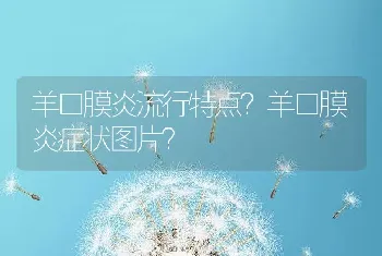 羊口膜炎流行特点？羊口膜炎症状图片？