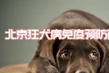 北京狂犬病免疫预防门诊大全，附地址和电话！