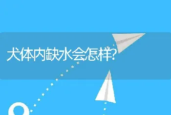 犬体内缺水会怎样?