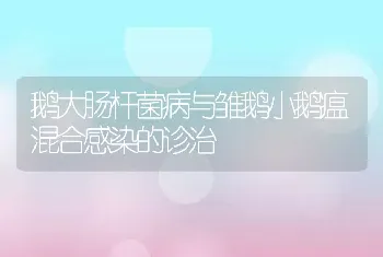 鹅大肠杆菌病与雏鹅小鹅瘟混合感染的诊治