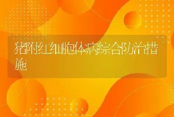 猪附红细胞体病综合防治措施