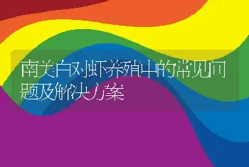 南美白对虾养殖中的常见问题及解决方案