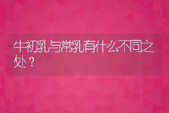 牛初乳与常乳有什么不同之处？