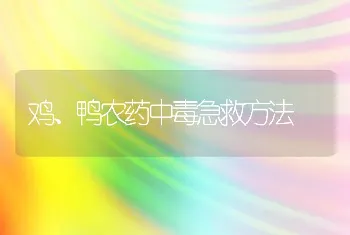 鸡、鸭农药中毒急救方法