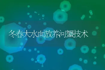 冬春大水面放养河蟹技术