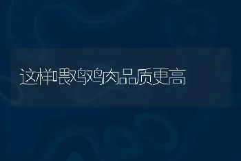 这样喂鸡鸡肉品质更高