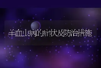 羊血虫病的症状及防治措施