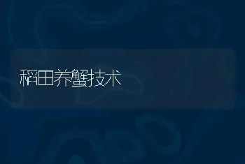 稻田养蟹技术