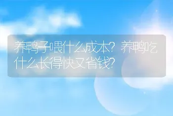 养鸭子喂什么成本？养鸭吃什么长得快又省钱？