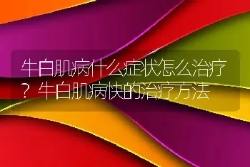 牛白肌病什么症状怎么治疗？牛白肌病快的治疗方法