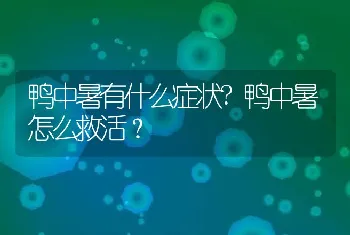 鸭中暑有什么症状?鸭中暑怎么救活？