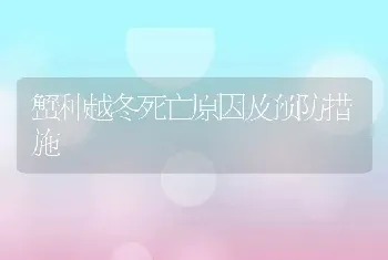 蟹种越冬死亡原因及预防措施