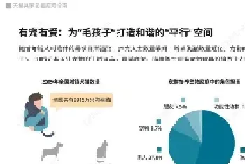 宠物消费新风潮，宠物家具受到铲屎官们的追捧