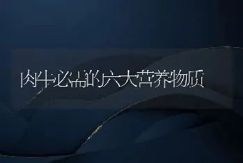 韩国首批克隆警犬今年上岗天生聪明好驯养