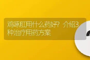 鸡啄肛用什么药好?介绍3种治疗用药方案