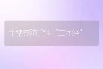 生猪养殖记住“三字经”