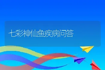 七彩神仙鱼疾病问答