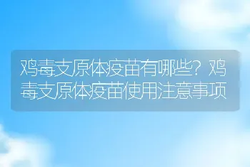 鸡毒支原体疫苗有哪些？鸡毒支原体疫苗使用注意事项