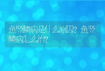 鱼竖鳞病是什么原因？鱼竖鳞病怎么治？