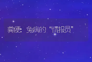 粪便:兔病的“情报员”