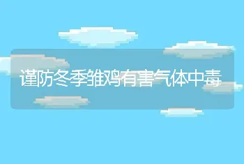 谨防冬季雏鸡有害气体中毒