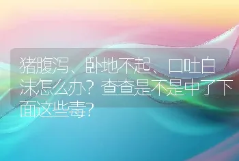 猪腹泻、卧地不起、口吐白沫怎么办？查查是不是中了下面这些毒？