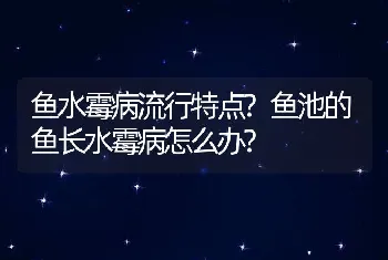 鱼水霉病流行特点?鱼池的鱼长水霉病怎么办?