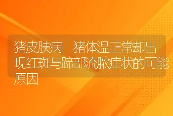 猪皮肤病|猪体温正常却出现红斑与蹄部流脓症状的可能原因