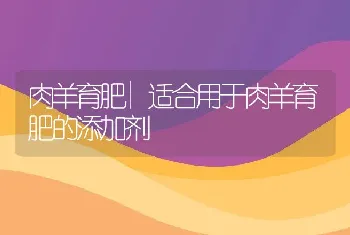 肉羊育肥|适合用于肉羊育肥的添加剂