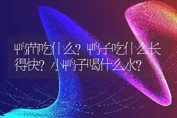 鸭苗吃什么?鸭子吃什么长得快?小鸭子喝什么水？