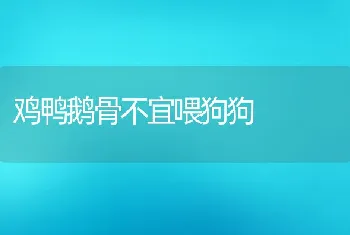 鸡鸭鹅骨不宜喂狗狗