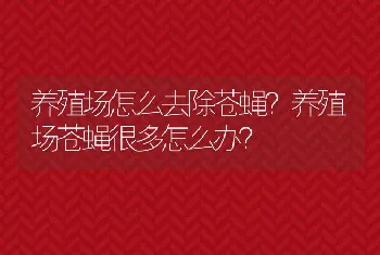 养殖场怎么去除苍蝇？养殖场苍蝇很多怎么办？